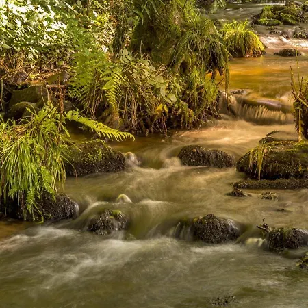 Printaniere : Nature, Confort Et Detente Aux Quennechelles - Fr-1-589-528 Bed & Breakfast 3*