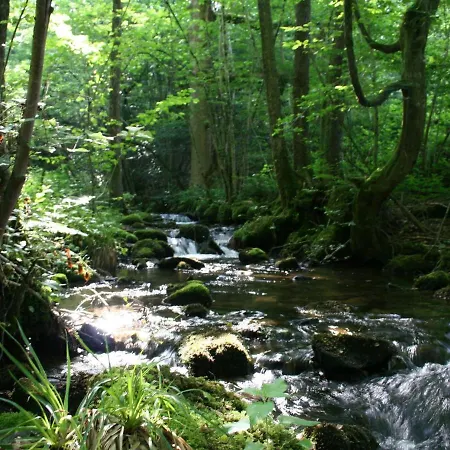 Printaniere : Nature, Confort Et Detente Aux Quennechelles - Fr-1-589-528 3*