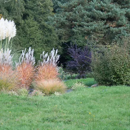 Printaniere : Nature, Confort Et Detente Aux Quennechelles - Fr-1-589-528 Bed & Breakfast Le Clerjus