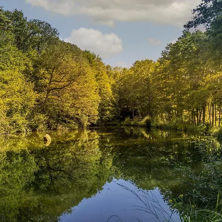 Bed & Breakfast Printaniere : Nature, Confort Et Detente Aux Quennechelles - Fr-1-589-528 3*