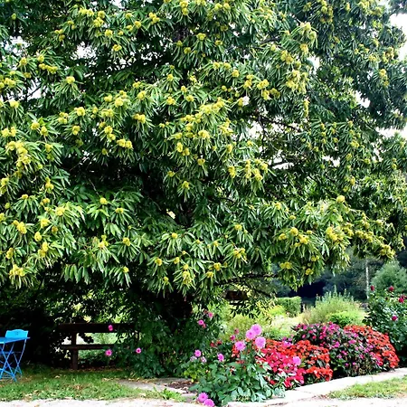 Bed & Breakfast Printaniere : Nature, Confort Et Detente Aux Quennechelles - Fr-1-589-528 Le Clerjus